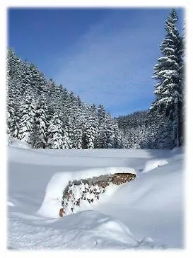 Konukevi Garni Cafe Schacher Oberwolfach