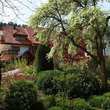 Pensionat Garni Cafe Schacher Oberwolfach