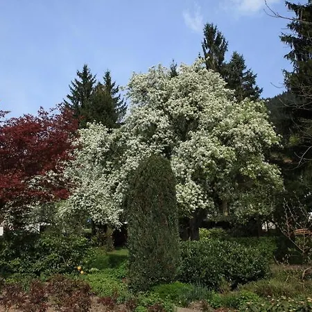 Garni Cafe Schacher Oberwolfach