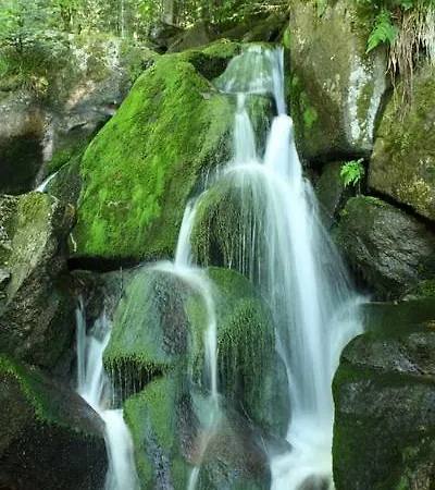 Garni Cafe Schacher Oberwolfach