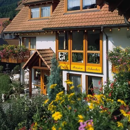 Konukevi Garni Cafe Schacher 3*