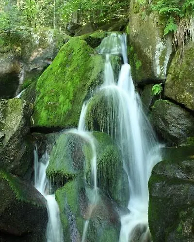 Garni Cafe Schacher Oberwolfach