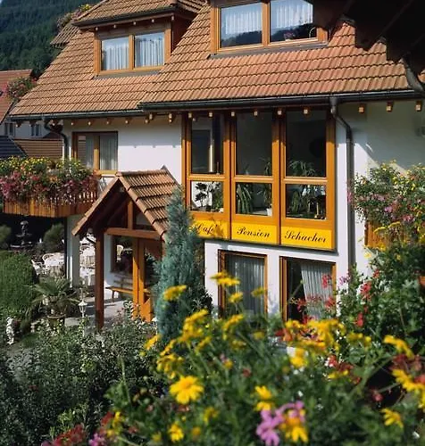 Guest house Garni Cafe Schacher 3*